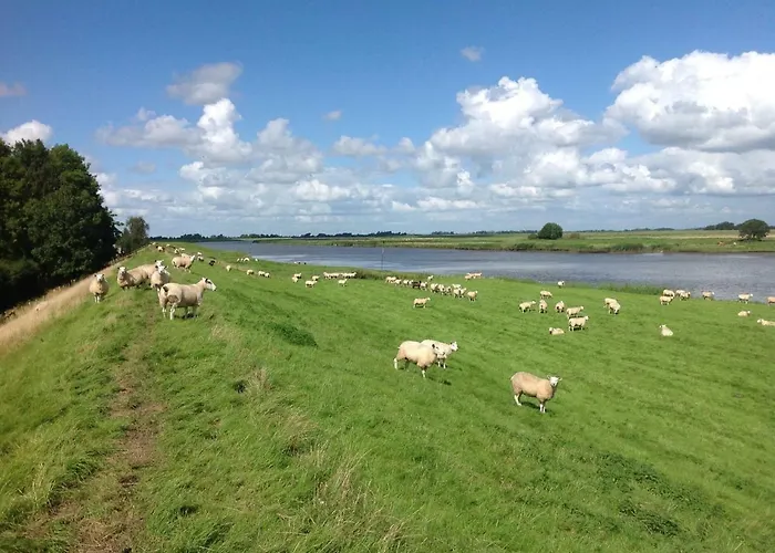 Ferienhaus-hemmerdeich An Der Eider Oldenswort